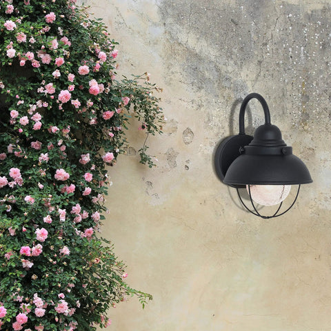 Sebring Outdoor Wall Lantern With Black Finish mounted on wall near blooming flowers