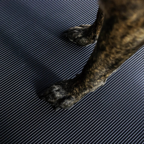 Heavy Duty Vinyl Round Rib Floor Mat For Tough Garages And Workshops Rock Solid One Eighth Inch Thick build with dog paws on it.