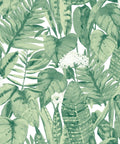 Jungle Green Tropical Peel And Stick Wallpaper Removable Self Adhesive Wall Covering For Easy DIY Decor 20.5 In X 16.5 Ft Made In The USA No Mess Repositionable with lush botanical leaves pattern.