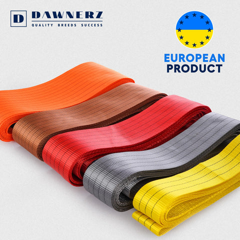 Assorted Endless Loop Strap With 11000 Lbs Capacity 14 Ft Long Polyester Endless Web Sling For Crane Lifting and Construction