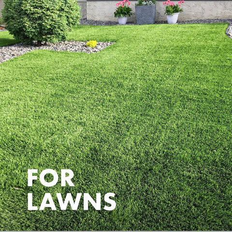 Immunox Fungus Plus Insect Control For Lawns Hose End Concentrate Dual Action Kills Major Lawn Diseases And Insects On Contact