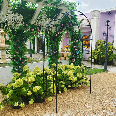 Powder Coated Iron Garden Pergola Arbor Built For Climbing Plants Pro Grade Trellis Archway All Weather Outdoor Backyard
