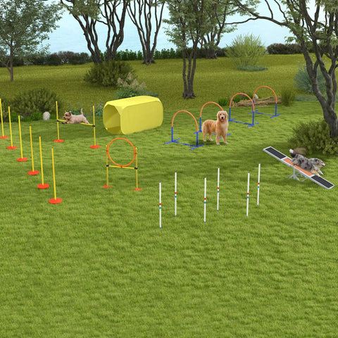 Dogs in an outdoor agility course with a Wooden Dog Agility Seesaw For Training And Exercise, Outdoor Ready Platform Run Toy.