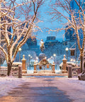 Snowy park at dusk with trees wrapped in Clear Mini Christmas String Lights On Brown Wire Cord For A Cozy Festive Vibe.