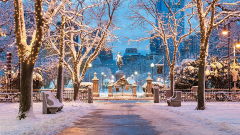 Snowy park at dusk with trees wrapped in Clear Mini Christmas String Lights On Brown Wire Cord For A Cozy Festive Vibe.