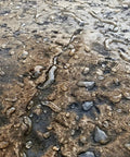 Water droplets on a concrete surface treated with Tough As Nails Silicone Concrete Sealer, reflecting high gloss shine.