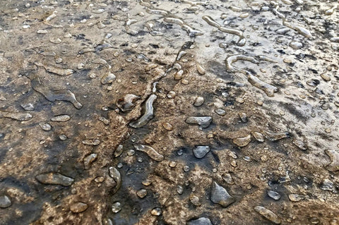 Water droplets on a concrete surface treated with Tough As Nails Silicone Concrete Sealer, reflecting high gloss shine.