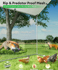 Interior view of Beefy Metal Chicken Coop For 9 To 13 Hens Outdoor Run With Heavy Duty Frame, showcasing predator proof wire mesh.