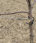 Five Piece Fruit Tree Limb Spreader Set For Branch Support And Training Iron Tree Branch Straighteners Orchard Brace Kit