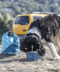 Dog eating beside Coastal Blue Kibble Carrier For Dogs: Travel Ready Dry Food Bag With Roll Top Closure, Durable Ripstop Material.