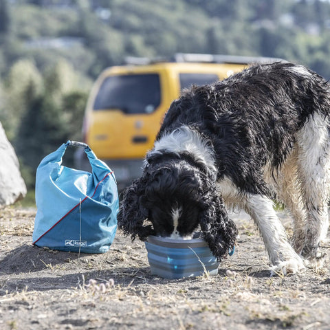 Dog eating beside Coastal Blue Kibble Carrier For Dogs: Travel Ready Dry Food Bag With Roll Top Closure, Durable Ripstop Material.