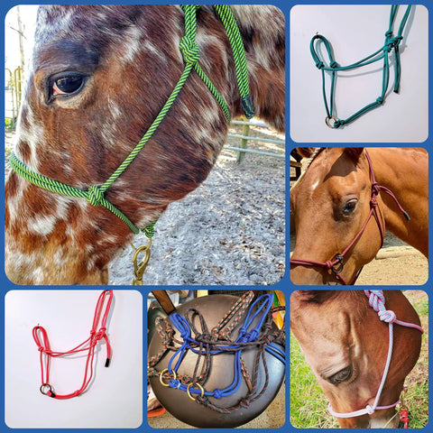 Sliding Ring Rope Halter For Horse Training All Ages And Types Keeps Your Halter From Twisting And Helps Teach The Basics In A Simple Twist Free Setup With Lightweight One Quarter Inch Double Braid Marine Rope For Quick Gentle Groundwork on various horses