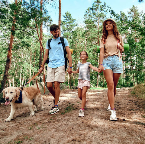 Family hiking in forest with DEET Free Mosquito Repellent Bracelets For Kids And Adults, 15 Pack, Individually Wrapped Bands