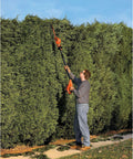 Person using 20V Max Cordless Pole Hedge Trimmer With 18-Inch Dual-Action Blade on tall hedge