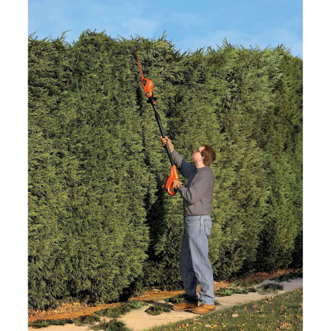 Person using 20V Max Cordless Pole Hedge Trimmer With 18-Inch Dual-Action Blade on tall hedge