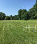 Deluxe Dog Agility Starter Set With Three Bar Jumps, Six Weave Poles And Adjustable Octagon Hoop Jump on grass field