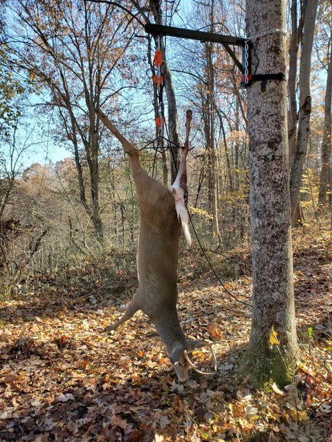 Self Locking Block and Tackle Hoist System With 35 Ft Polypropylene Rope, 300 Lb Capacity lifting deer in forest