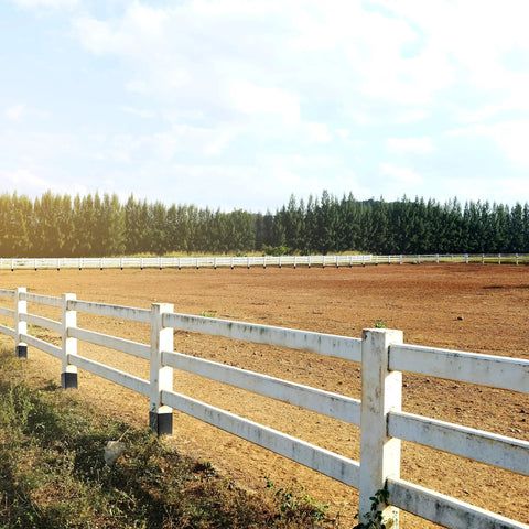 Open field enclosed by white wooden fence with trees in the background under a partly cloudy sky.