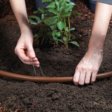 Setting up Automatic Drip Irrigation Kit With Timer For Ground Cover And Flower Beds, durable tubing around plant in soil