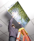 Tree Themed Fluorescent Light Covers For 2x4 Ceiling Fixtures With A Soft Glow, Low Glare Lighting For Classrooms And Offices being installed