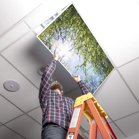 Tree Themed Fluorescent Light Covers For 2x4 Ceiling Fixtures With A Soft Glow, Low Glare Lighting For Classrooms And Offices being installed