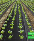 Heavy Duty Weed Barrier Fabric 3ft By 300ft 3.2oz Tear-Resistant Ground Cover installed in a vegetable garden.