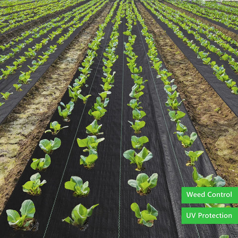 Heavy Duty Weed Barrier Fabric 3ft By 300ft 3.2oz Tear-Resistant Ground Cover installed in a vegetable garden.