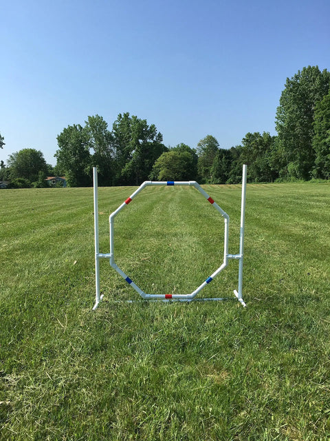 Deluxe Dog Agility Starter Set with adjustable octagon hoop jump on a grassy field, USA made