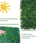 UV effect on Lush Boxwood Faux Grass Wall Panels Set, 24 Panels, 10x10 Inches Each, 16.8 Sq Ft Dope Coverage, UV Protected Greenery