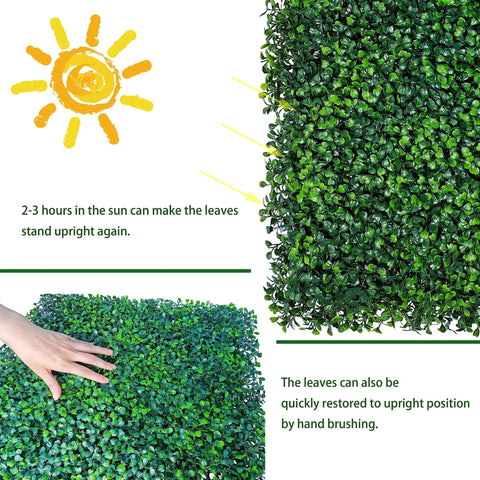 UV effect on Lush Boxwood Faux Grass Wall Panels Set, 24 Panels, 10x10 Inches Each, 16.8 Sq Ft Dope Coverage, UV Protected Greenery