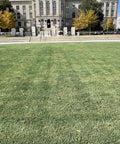 Grass Colorant And Turf Paint 32 Oz Concentrate That Covers About 1000 Sq Ft So Your Lawn Pops With Deep Green Color Reviving Dormant Or Drought Stressed Grass Water Based Non Toxic Safe For Pets And Family on a lush green lawn in front of an urban building.