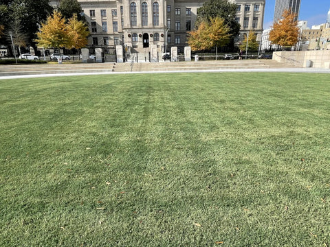 Grass Colorant And Turf Paint 32 Oz Concentrate That Covers About 1000 Sq Ft So Your Lawn Pops With Deep Green Color Reviving Dormant Or Drought Stressed Grass Water Based Non Toxic Safe For Pets And Family on a lush green lawn in front of an urban building.