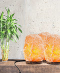 Three Pack Natural Pink Himalayan Salt Lamp With Dimmer Cord And Light Bulb Six To Eight Inch Tall Salt Rock Lamp With Wood Base Hand Crafted 100 Percent Authentic Great For Home Office And Bedroom Decor Cozy Vibe Mood Lighting on wooden shelf next to plant.