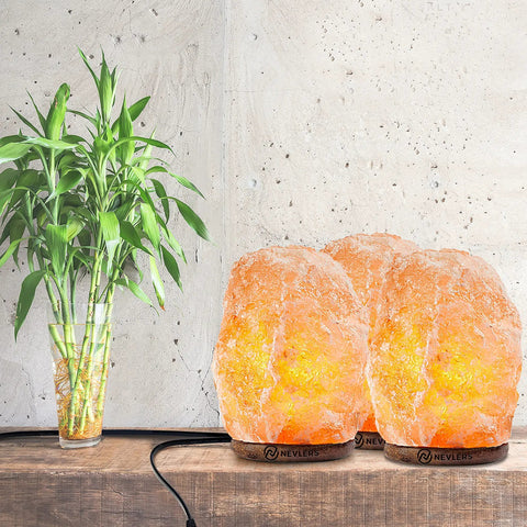 Three Pack Natural Pink Himalayan Salt Lamp With Dimmer Cord And Light Bulb Six To Eight Inch Tall Salt Rock Lamp With Wood Base Hand Crafted 100 Percent Authentic Great For Home Office And Bedroom Decor Cozy Vibe Mood Lighting on wooden shelf next to plant.