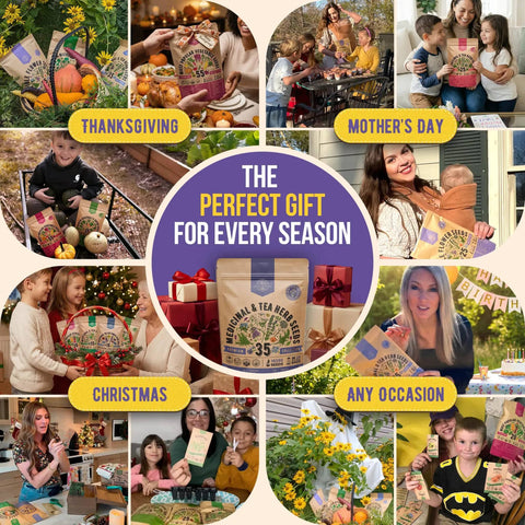 Collage showcasing 35 Medicinal And Tea Herb Seeds Variety Pack for indoor and outdoor gardening, perfect gift for any season.