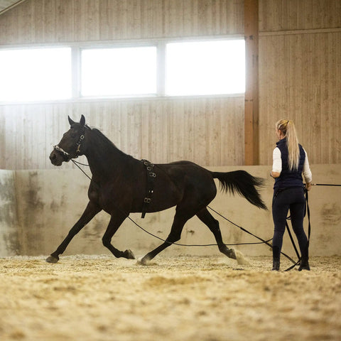 Lunging Surcingle For Horses Durable Nylon Trainer Gear With Multi Ring Setup For Side Reins And Aids Black Easy Adjustable Surcingle used in training