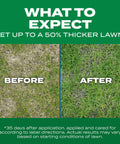 Before and after comparison of lawn using 3 In 1 Lawn Care Kit For Thick Greener Turf Sun And Shade Seed Fertilizer And Soil Improver