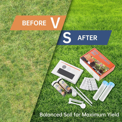 Comparison of lawn before and after using 4-in-1 Soil Test Kit For pH, Nitrogen, Phosphorus And Potassium, 40-Count Upgraded Nutrient Tester