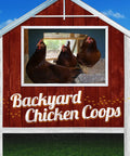 Spacious Chicken Coop With Run For No Fuss Cleanups, featuring hens in predator-proof roosts and nest boxes, weatherproof wood.