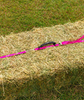 Bale Band For Hay Hauling Made Easy With Durable Webbing And Heavy Duty Cam Buckle Snaps On Smoothly Tightens Quickly And Lets You Lift Neatly Tied Hay With An Ergonomic Rubber Handle Raspberry Band on hay bale.