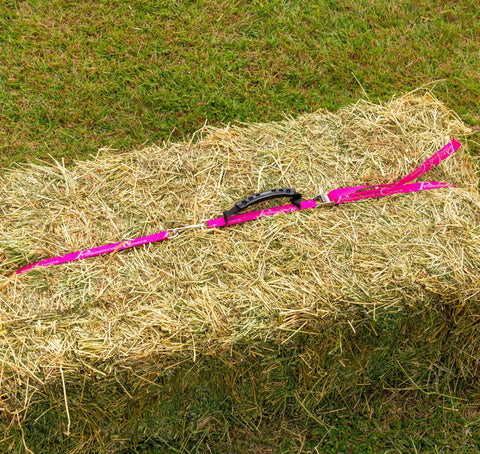 Bale Band For Hay Hauling Made Easy With Durable Webbing And Heavy Duty Cam Buckle Snaps On Smoothly Tightens Quickly And Lets You Lift Neatly Tied Hay With An Ergonomic Rubber Handle Raspberry Band on hay bale.