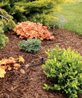 Four Pack Micro Bubbler Drip Irrigation On Stake With 360 Degree Full Circle Spray in garden bed