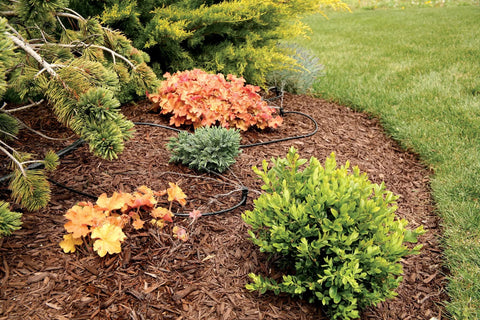 Four Pack Micro Bubbler Drip Irrigation On Stake With 360 Degree Full Circle Spray in garden bed