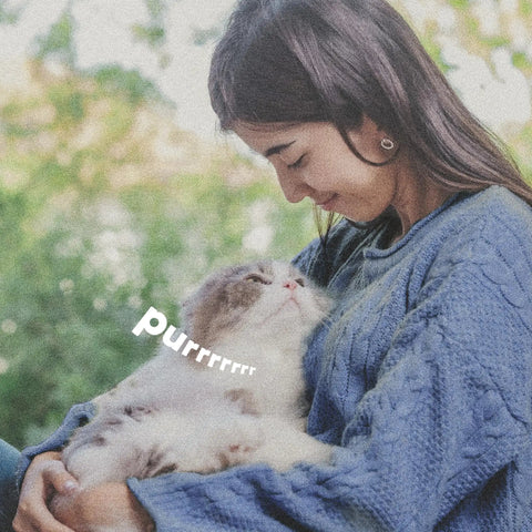 Woman smiling at a fluffy cat in her arms with text 'purrrrrrr' on the image.