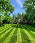 Lawn with ballpark-style stripes using Generation 3 Lawn Striping System Pro Kit For Ballpark Style Lawn Lines Only Works With Honda