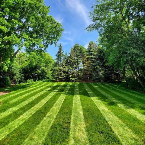Lawn with ballpark-style stripes using Generation 3 Lawn Striping System Pro Kit For Ballpark Style Lawn Lines Only Works With Honda