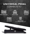EX-P Expression Pedal For Keyboards And MIDI Controllers Control Real Time Expression, connects to instruments diagram