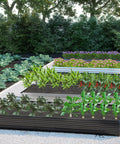 2 Pack Galvanized Raised Garden Bed Kit 12 Ft Long 2 Ft Wide 1 Ft High Backyard Ready Planter Boxes with thriving plants