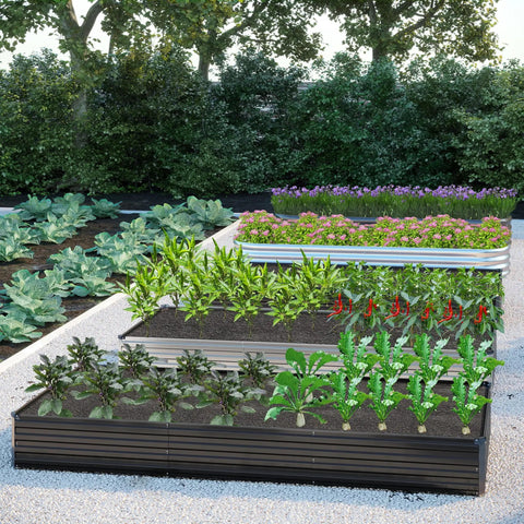 2 Pack Galvanized Raised Garden Bed Kit 12 Ft Long 2 Ft Wide 1 Ft High Backyard Ready Planter Boxes with thriving plants
