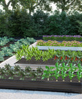 2 Pack Galvanized Raised Garden Bed Kit 12 By 4 By 1 Feet Outdoor Planter for Veggies Flowers Herbs and Fruit Rectangle Metal Bed